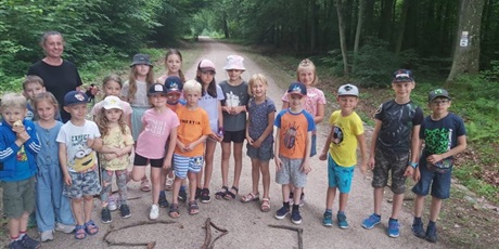 Powiększ grafikę: Grupa dzieci stoi w lesie na drodze.